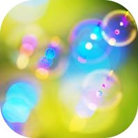 �j�L�r���ɐ��Ό�